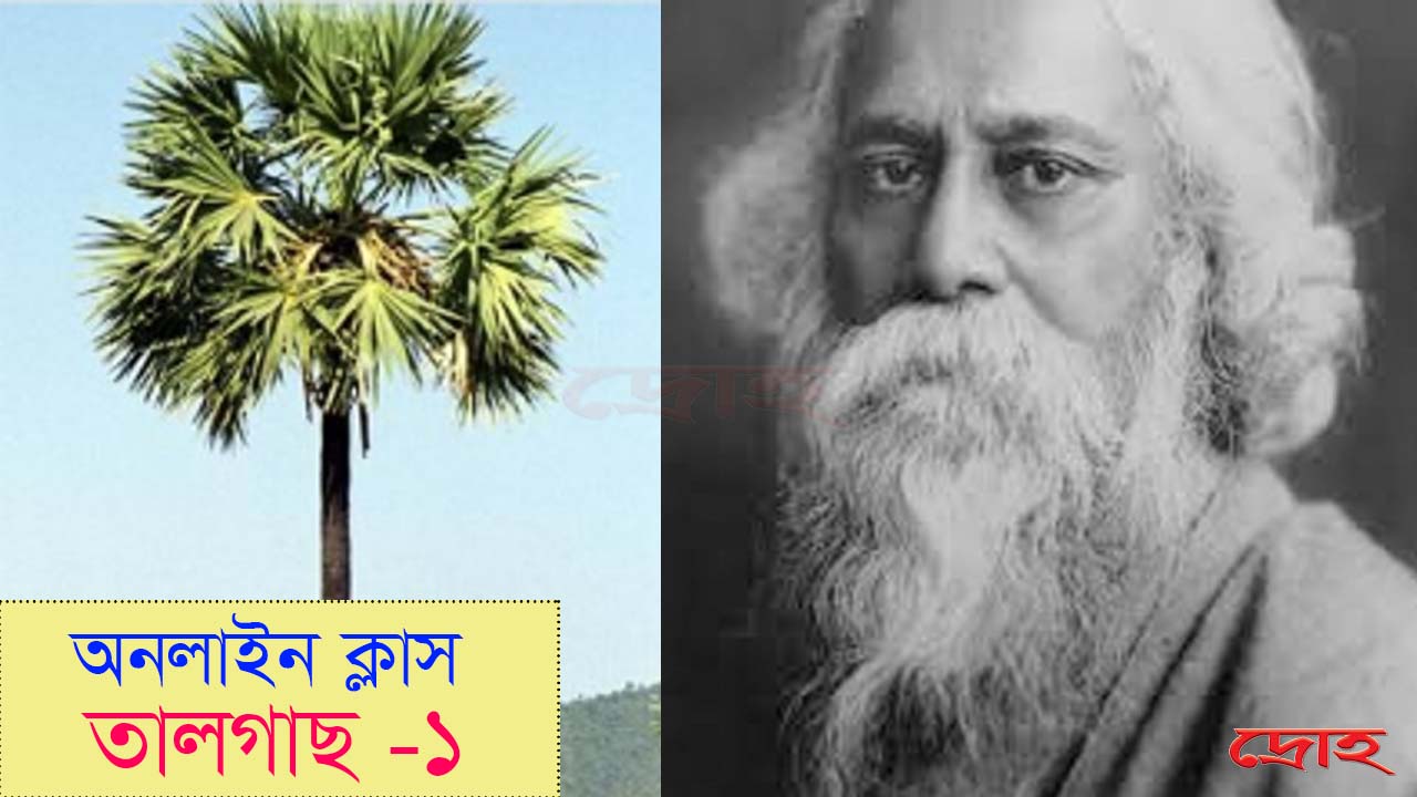 অনলাইন ক্লাস- তালগাছ (১)