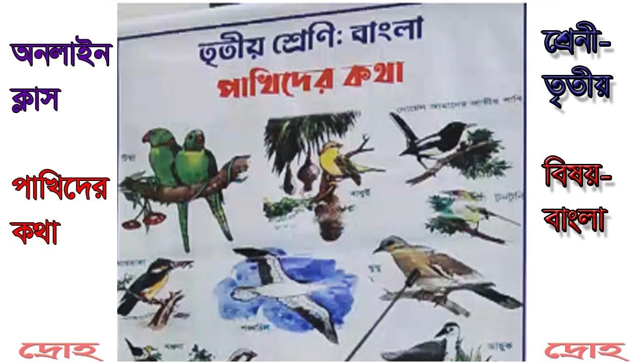 অনলাইন ক্লাস- পাখিদের কথা (১)