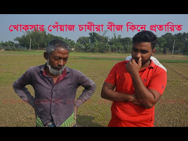 খোকসার পেঁয়াজ চাষীরা বীজ কিনে প্রতারিত