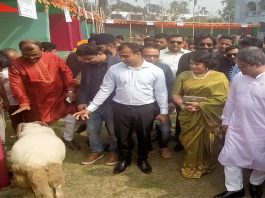খোকসায় প্রাণিসম্পদ প্রদর্শনী অনুষ্ঠিত
