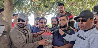গড়াই নদীর পাড় থেকে রাসেল ভাইপার সাপ উদ্ধার