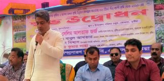 খোকসায় কৃষি মেলার উদ্বোধন