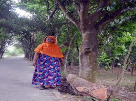 খোকসার নারী ইউপি সদস্য নিরাপত্তাহীনতায়