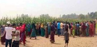 ভুট্টা খেতের বিষ টোপে শিশুর মৃত্যু