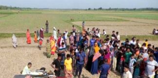 ঝিনাইদহে ইজিবাইক চালক নিহত