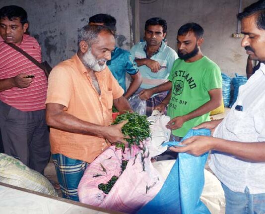 কাঁচা মরিচের কেজিতে বেড়েছে ৪০০ টাকা