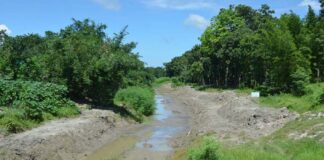 হাওড় নদী মৃত্যু মুখেঃ দায়ী ভুল পরিকল্পনায়