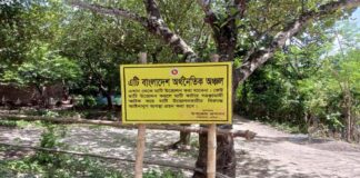 ভেড়ামারায় অর্থনৈতিক অঞ্চল গড়ে তোলা অনিশ্চিত