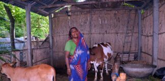 খোকসার এক বিধবার সব স্বপ্ন বিষে মলিন