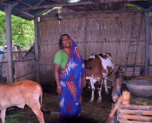খোকসার এক বিধবার সব স্বপ্ন বিষে মলিন