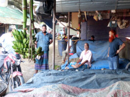 ঝিনাইদহে দুই ব্যবসায়ীকে আটকের প্রতিবাদে ধর্মঘট