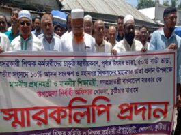খোকসায় চাকুরি জাতীয় করণের দাবিতে শিক্ষকদের বিক্ষোভ