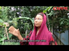 খোকসায় দেবরের হামলায় বৃদ্ধা নিহত