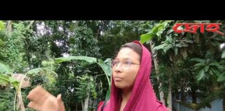 খোকসায় দেবরের হামলায় বৃদ্ধা নিহত