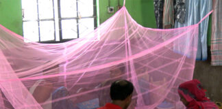 ঝিনাইদহে ডেঙ্গুতে একজনের মৃত্যু, নতুন আক্রান্ত ২৫ জন