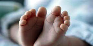 খোকসায় অর্ধগলিত নবজাতকের মৃতদেহ উদ্ধার