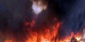 কুষ্টিয়ার আগুনে পুড়ে কৃষরকের চার গরুর মৃত্যু