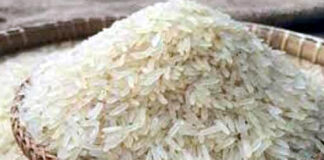 চাল রপ্তানিতে নিষেধাজ্ঞা দিতে যাচ্ছে মিয়ানমার