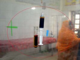 খোকসায় ২৪ ঘন্টায় ৫ নারী-পুরুষকে সাপে কেটেছে