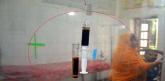 খোকসায় ২৪ ঘন্টায় ৫ নারী-পুরুষকে সাপে কেটেছে