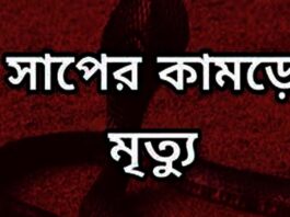 সাপের কামড়ের সাত মাসের শিশুসহ মায়ের মৃত্যু
