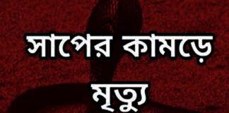 সাপের কামড়ের সাত মাসের শিশুসহ মায়ের মৃত্যু