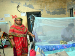 কুষ্টিয়ায় ডেঙ্গু আক্রান্ত শিশুর মৃত্যু