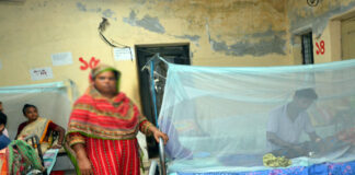 কুষ্টিয়ায় ডেঙ্গু আক্রান্ত শিশুর মৃত্যু