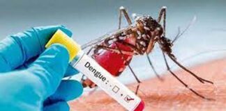 একদিনে ডেঙ্গুতে ২১ জনের মৃত্যু