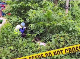 ঝিনাইদহে দুই যুবকের মৃতদেহ উদ্ধার