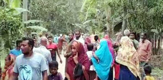 শৈলকূপায় আধিপত্য বিস্তার কেন্দ্র করে আওয়ামী লীগ কর্মী নিহত