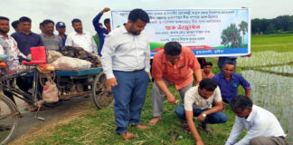 বজ্রপাতের ঝুঁকি কমাতে তাল গাছের বীজ বপন