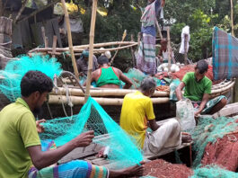 পদ্মা-মেঘনায় ২২ দিন ইলিশসহ সব ধরনের মাছ ধরা নিষিদ্ধ