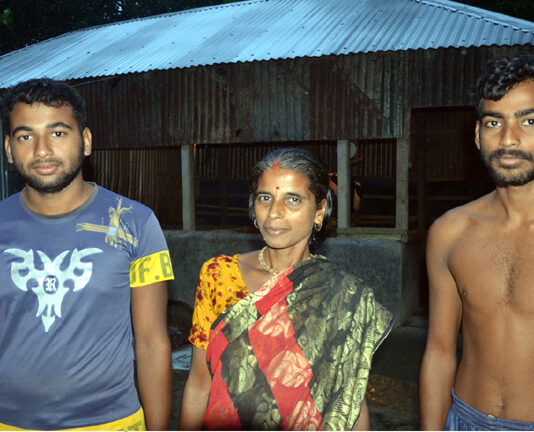 খোকসায় ক্ষুরা রোগে ২ শতাধিক গরুর মৃত্যু
