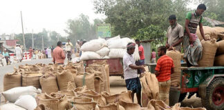 আমন ধান কিনবে সরকার