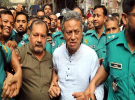 বিএনপি নেতা খসরু ও স্বপনের ৬ দিনের রিমান্ড মঞ্জুর