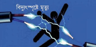 বিদ্যুৎস্পৃষ্ট হয়ে পল্লী বিদ্যুৎ সমিতির দুই কর্মচারীর মৃত্যু