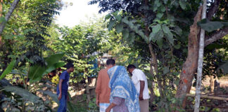 খোকসায় বাজারের ব্যগে মিললো নবযাতকের শরীরের অংশ