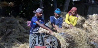 ধান মাড়াই