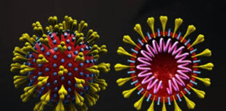 করোনার প্রাণঘাতী ধরণ নিয়ে নতুন সতর্কতা