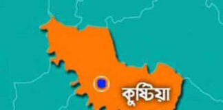 কুষ্টিয়ায় বাস উল্টে ২০ যাত্রী আহত