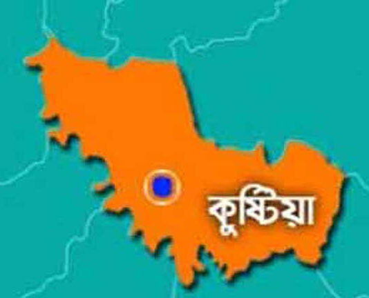 কুষ্টিয়ায় বাস উল্টে ২০ যাত্রী আহত