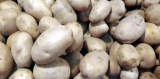 আলুর দাম নিয়ন্ত্রণে নতুন উদ্যোগ