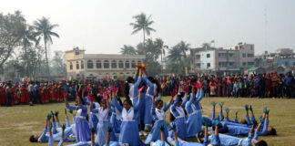 ডিসপ্লে