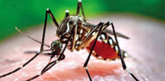 জানুয়ারিতে ডেঙ্গুতে মারা গেছেন ১৪ জন