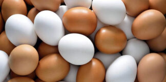 ডিমের দাম বাড়ানোর প্রমান মেলায় ডায়মন্ড এগ ও সিপিকে জরিমানা