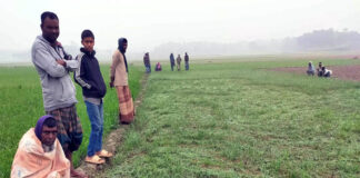 কুমারখালীতে নির্বাচনী পরবর্তী সহিংসতায় আহত – ৬