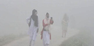 কুষ্টিয়ার শৈত্য প্রবাহের কারণে শিক্ষা প্রতিষ্ঠানে ছুটি ঘোষণা