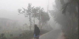 তেঁতুলিয়ায় মৌসূমের সর্বনিম্ন তাপমাত্রা নামল ৫.৮