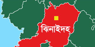 শৈলকুপায় পরকীয়ার জেরে চাচাকে কুপিয়ে হত্যা